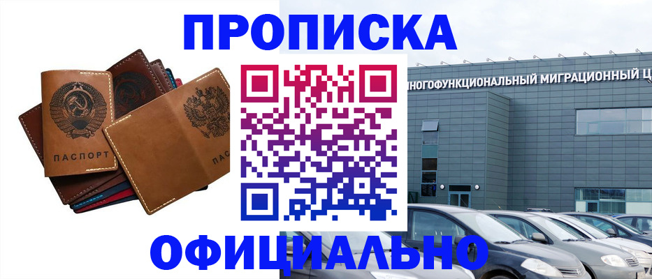 прописка в квартире в Камышине