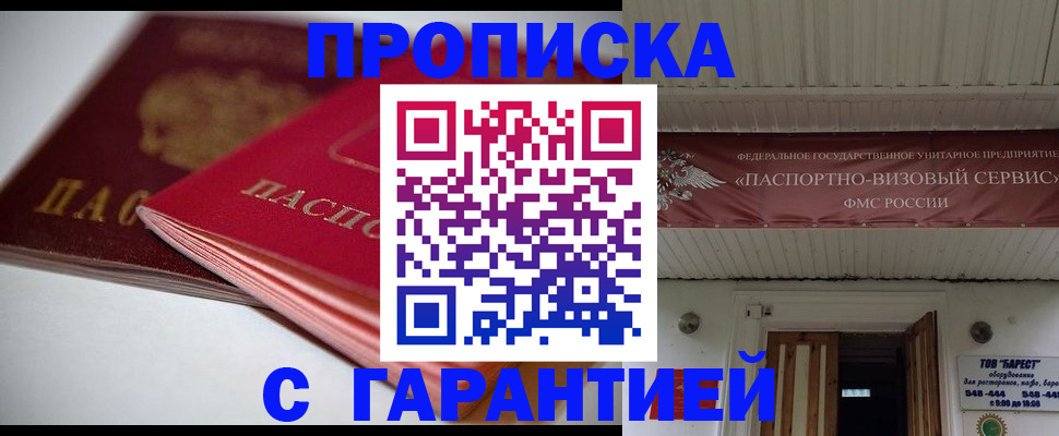прописка гарантия в Камышине